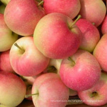 Manzanas rojas frescas (nombre de las frutas importadas)